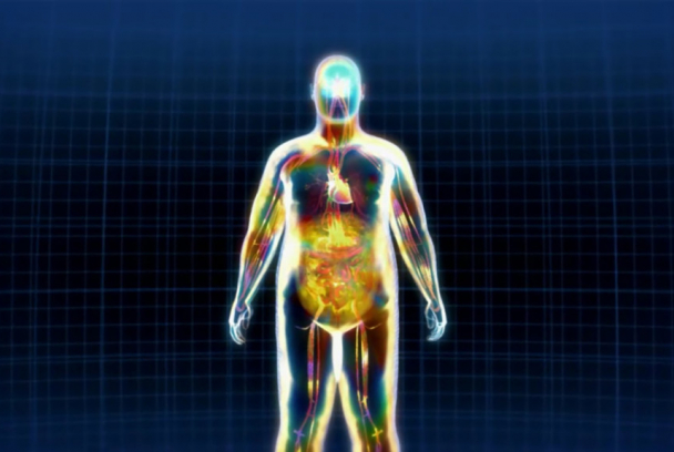 La verdad sobre las grasas