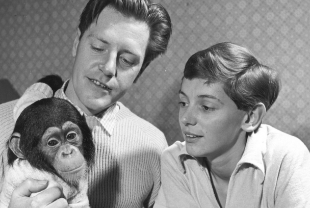 ¿Qué fue de los Durrell?