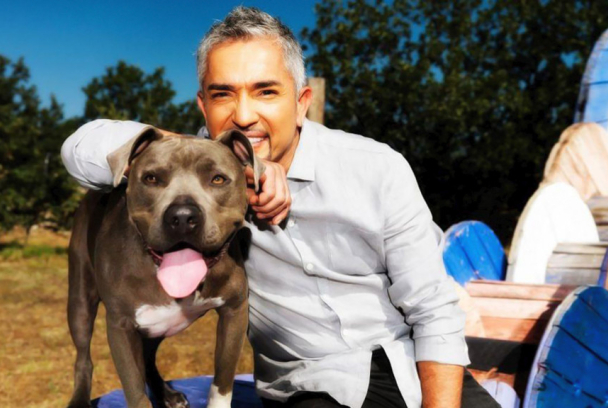 El líder de la manada