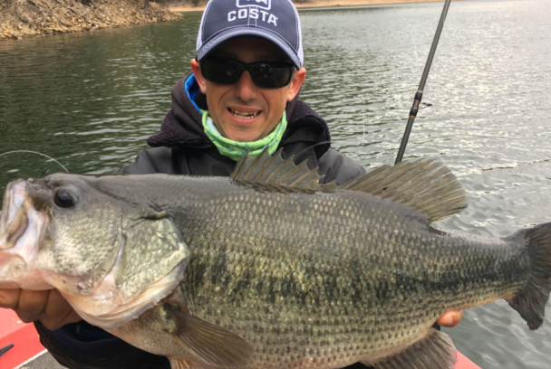 Locos por los coches