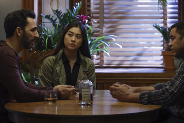 The Blacklist (V.O.S)