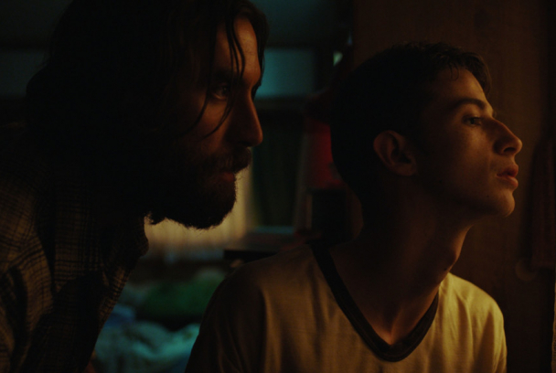 Ráfagas de vida salvaje