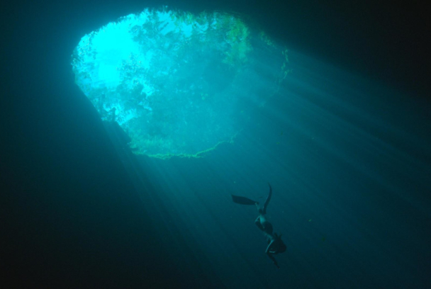 H2O: La importancia del agua