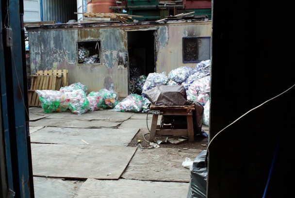El cuarto reino. El reino de los plásticos