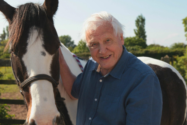 Curiosidades de la naturaleza con David Attenborough