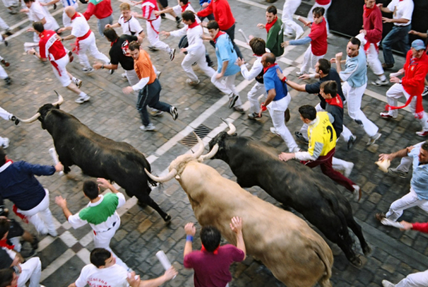 Vive San Fermín