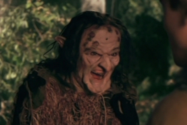 Una luz en el bosque 