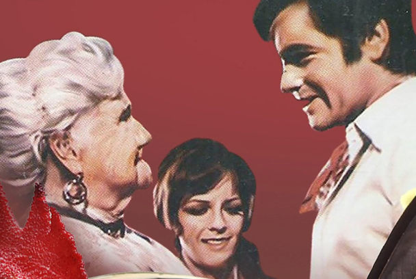 Como gallos de pelea