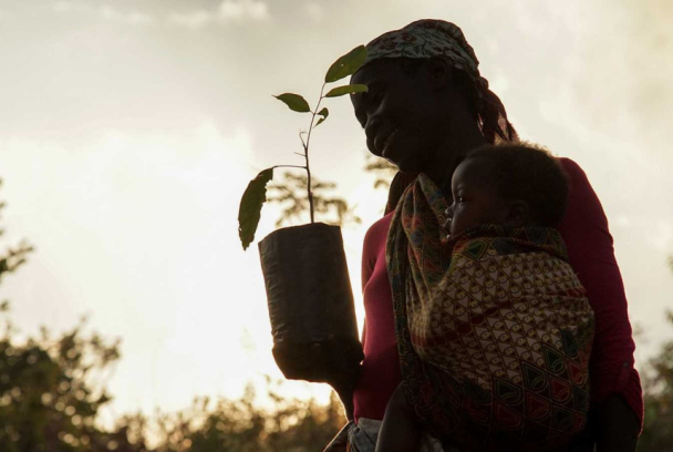 La hora de la naturaleza
