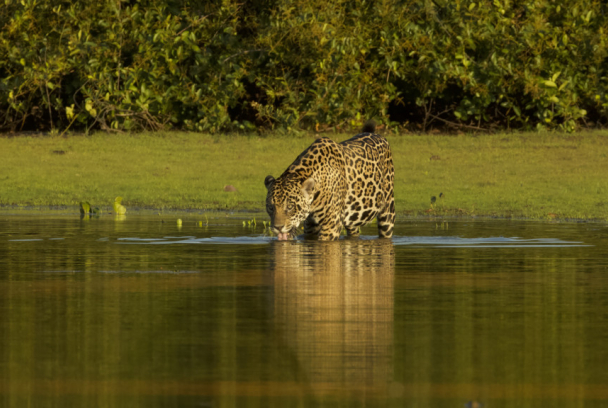 El oasis esmeralda de Brasil