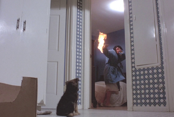 El perro del infierno