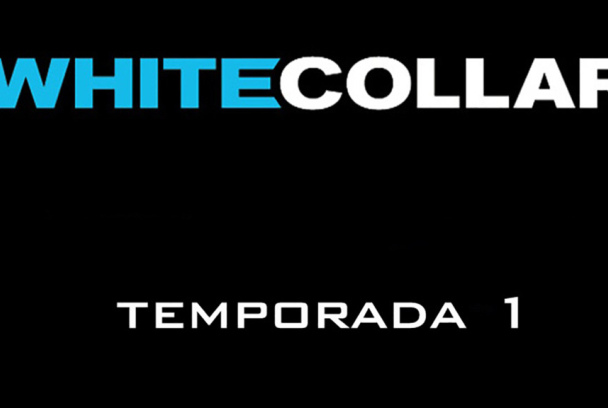 Ladrón de guante blanco