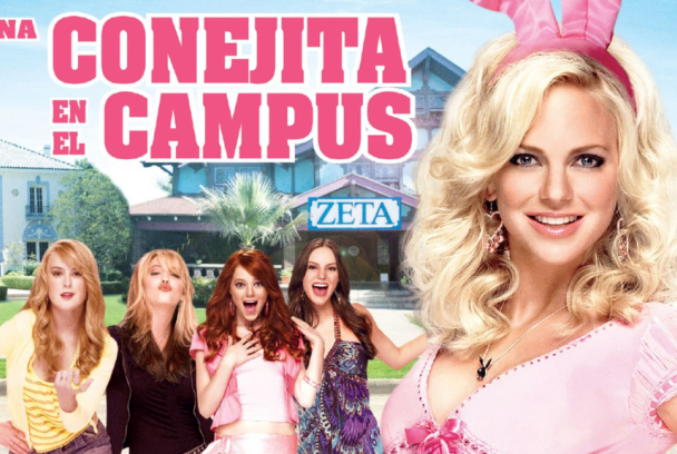 Una conejita en el campus