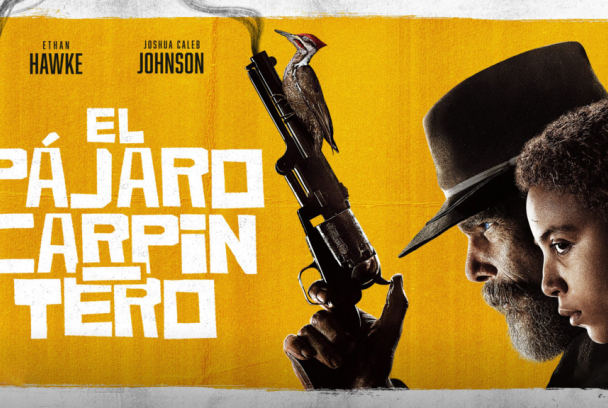 El pájaro carpintero