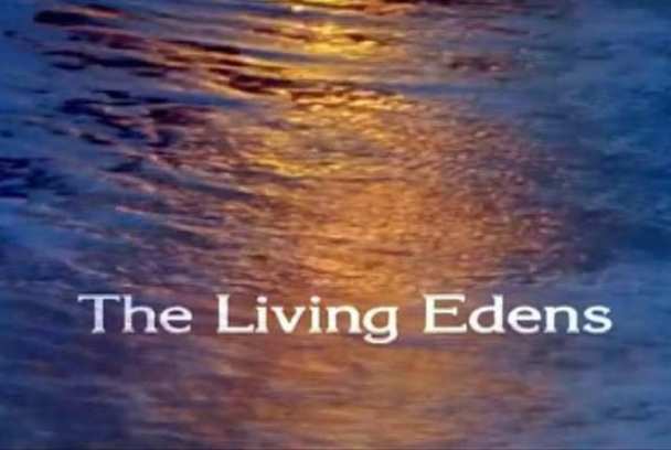 Paraísos terrenales