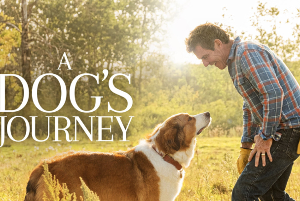 Tu mejor amigo: un nuevo viaje