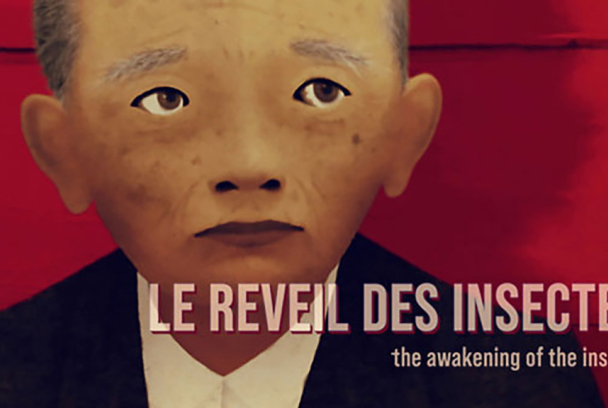 El despertar de los insectos