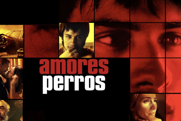 Amores perros