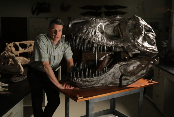 Los secretos del T-Rex