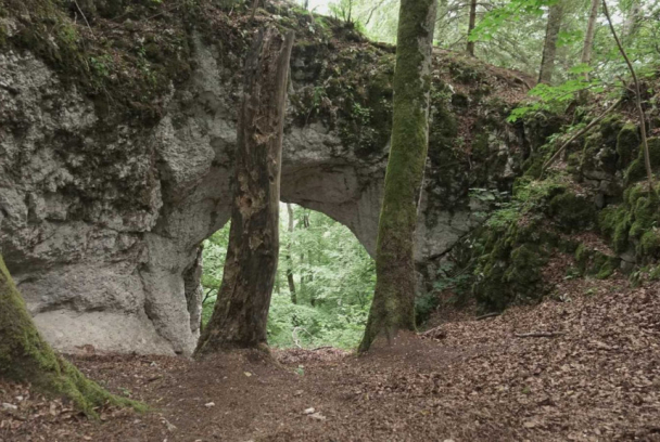 Druidas: El misterio de la casta sacerdotal de los celtas