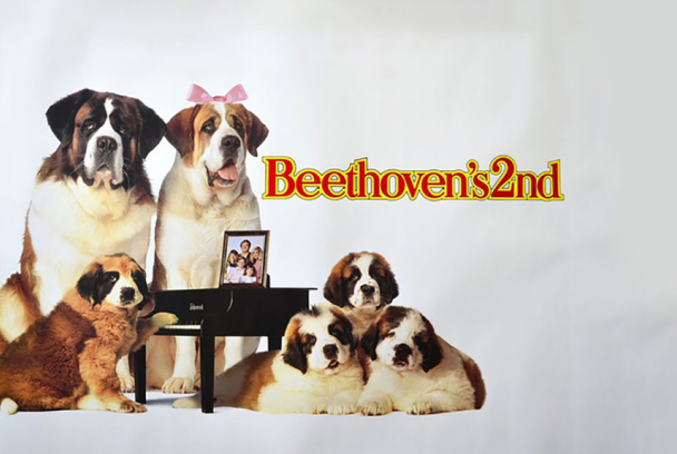 Beethoven 2: La familia crece