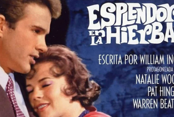 Esplendor en la hierba