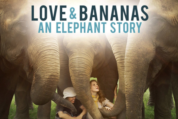 Sense ficció: Amor i plàtans