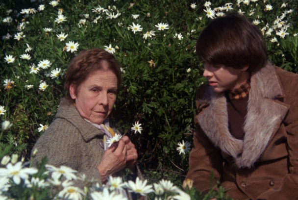Harold y Maude