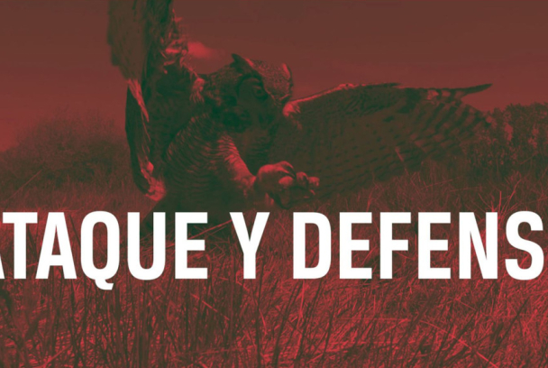 Ataque y defensa