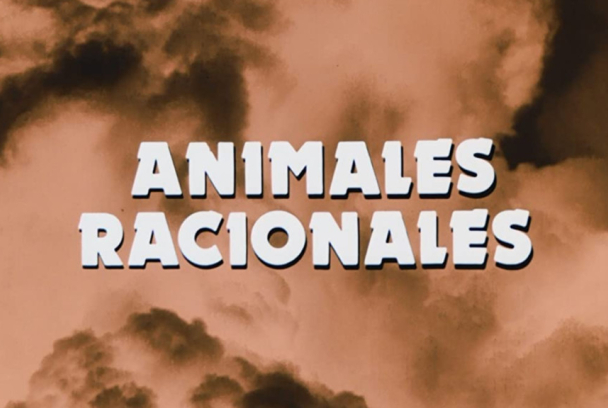 Animales racionales