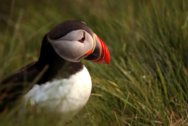 Noruega. Entre fiordos y páramos
