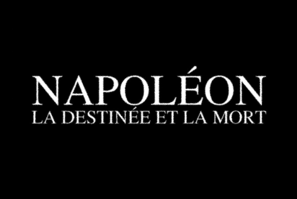 Napoleón: Ascenso y caída