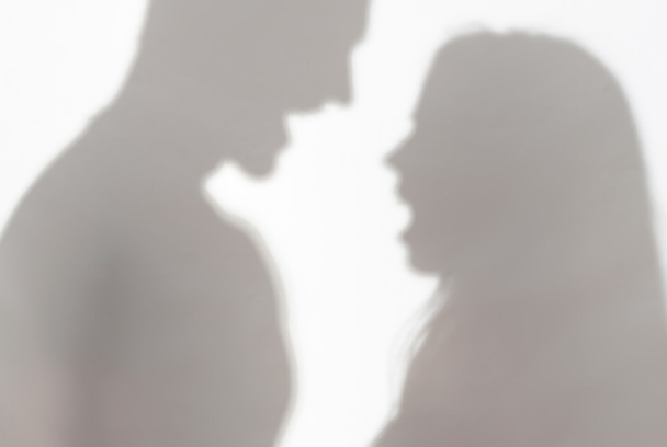 Première année dehors, journal de bord