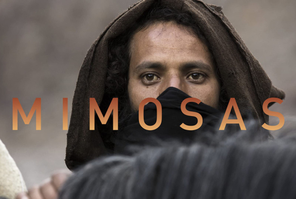 Mimosas