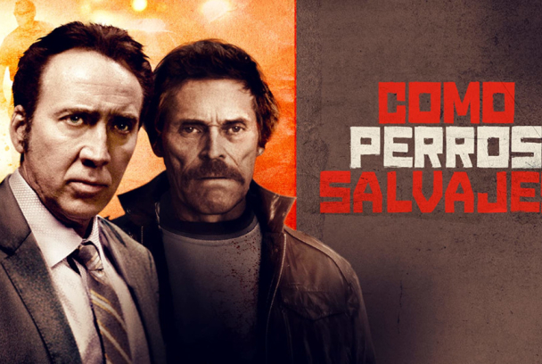 Como perros salvajes