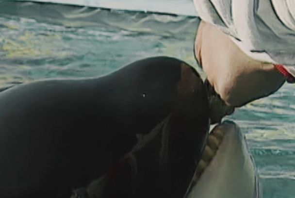 El documental: Ulisses