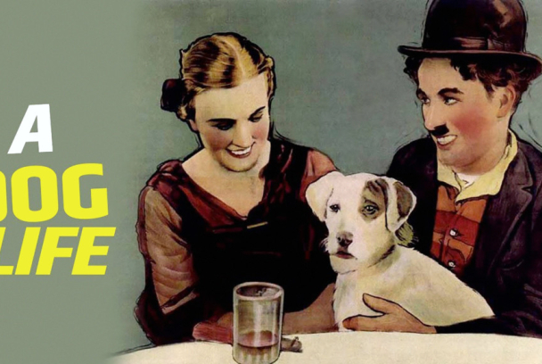 Vida de perro