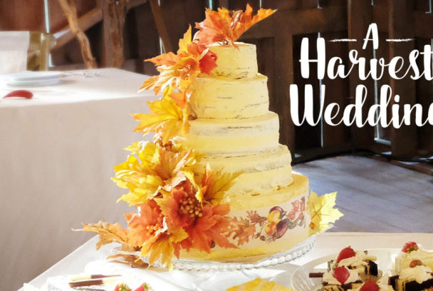 Una boda en el campo