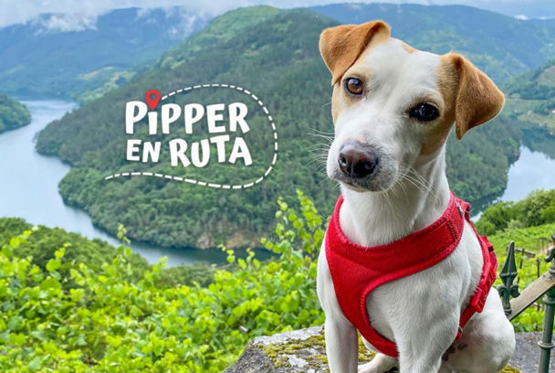 Pipper en ruta