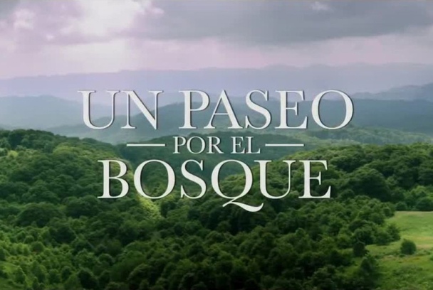 Un paseo por el bosque
