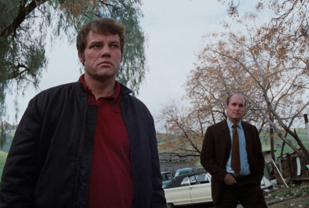 La organización criminal