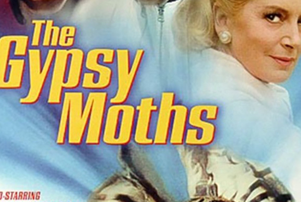 Los temerarios del aire