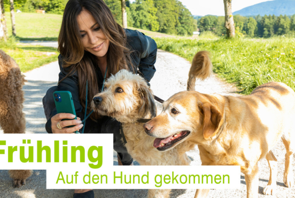 Fruhling: día de perros