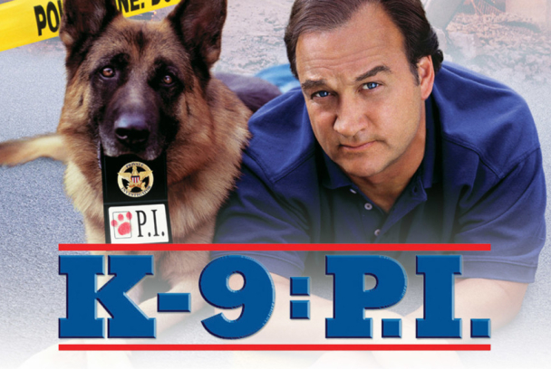 K-9: Investigadores privados