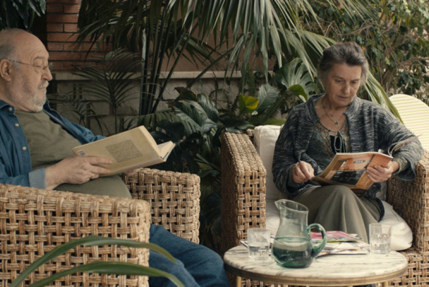 Una dona amb les ales tremendes