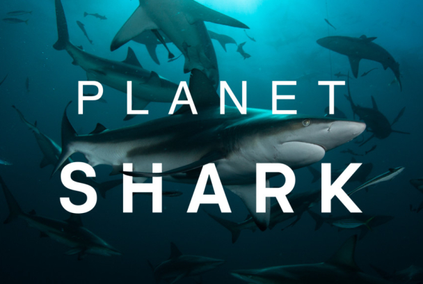 Planeta tiburón