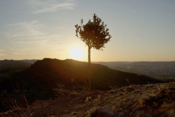 El Marcador de la Marató. La xifra final