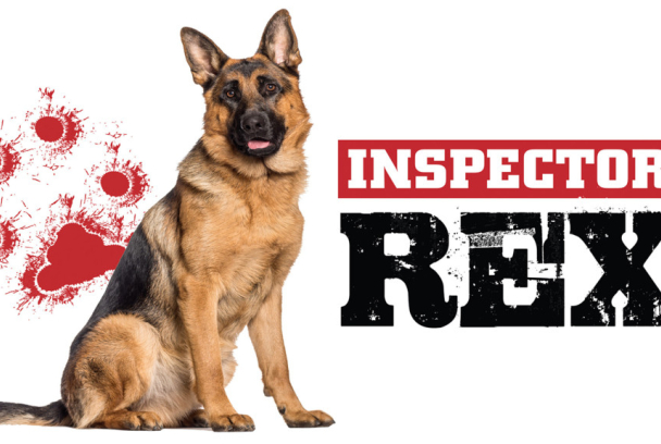 Rex, un policía diferente