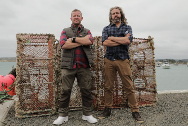 Defensa contra tiburones