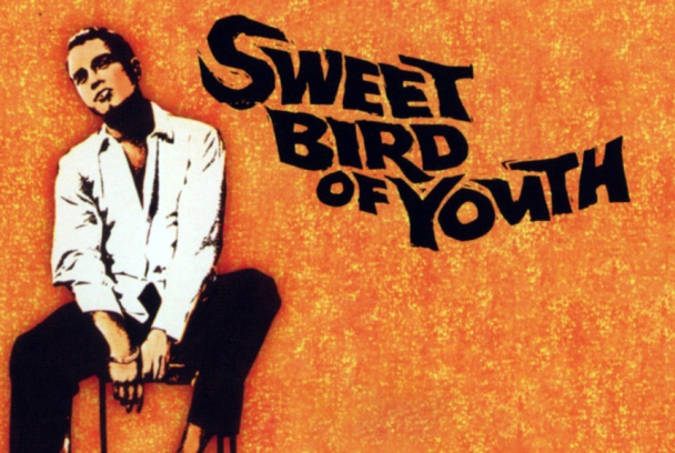 Dulce pájaro de juventud